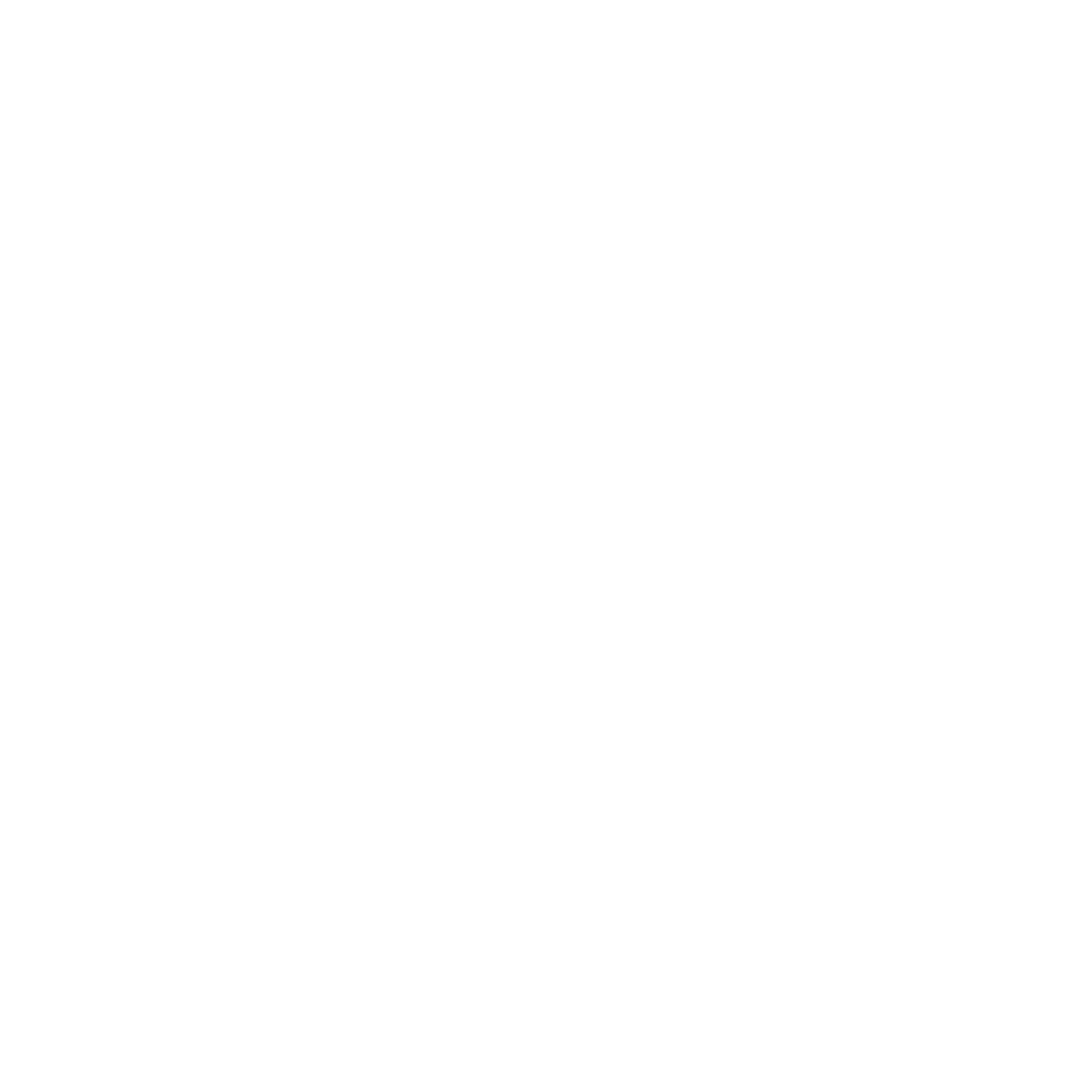 nepthink logo